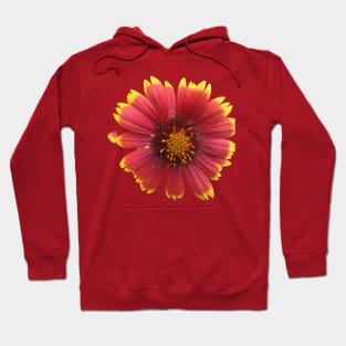 Gaillardia Flower Hoodie